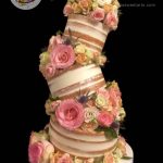 Topsy Turvy Cake Kit