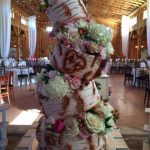 Topsy Turvy Cake Kit